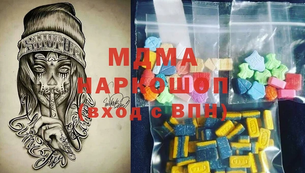 apvp Инсар