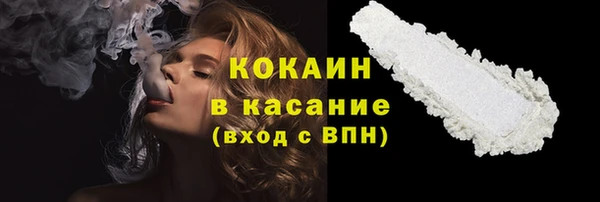 apvp Инсар