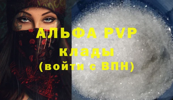 apvp Инсар