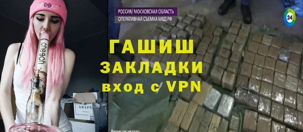 apvp Инсар